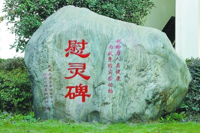 武大为抗击非典而献身的38只猴子树“慰灵碑”(图)